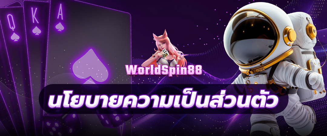 นโยบายความเป็นส่วนตัว